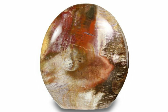 Free-Standing, Polished Petrified Wood - Madagascar #256711